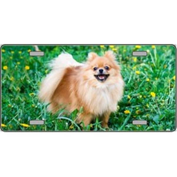 Powerhouse Pomeranian Dog Pet Novelty License Plates- Full Color Photography License Plates PO125656 - main
